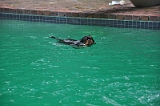 Sampson Swimming 002